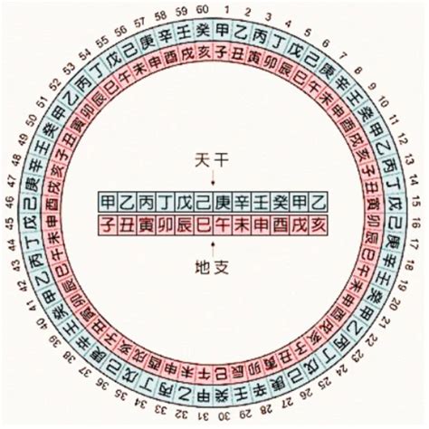 1995年天干地支|天干地支年份对照表